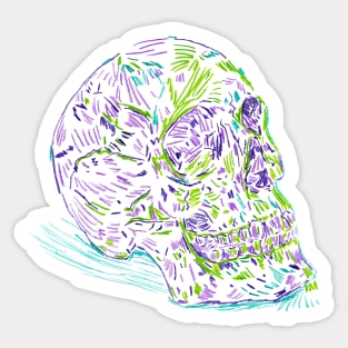 2021 03 skulls human Sticker